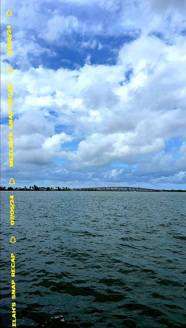 meelahrobbins image ~ Altpins