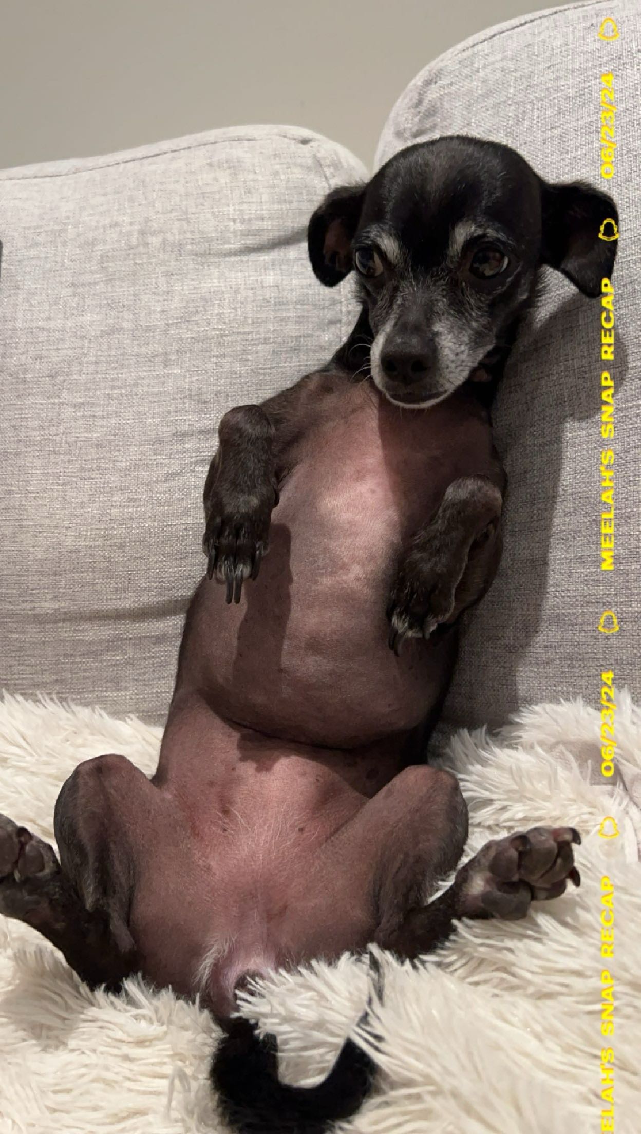 meelahrobbins snapchat image archive image