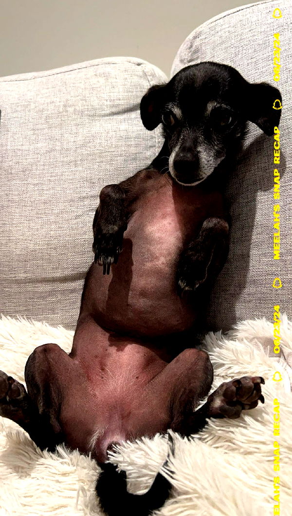 meelahrobbins image ~ Altpins