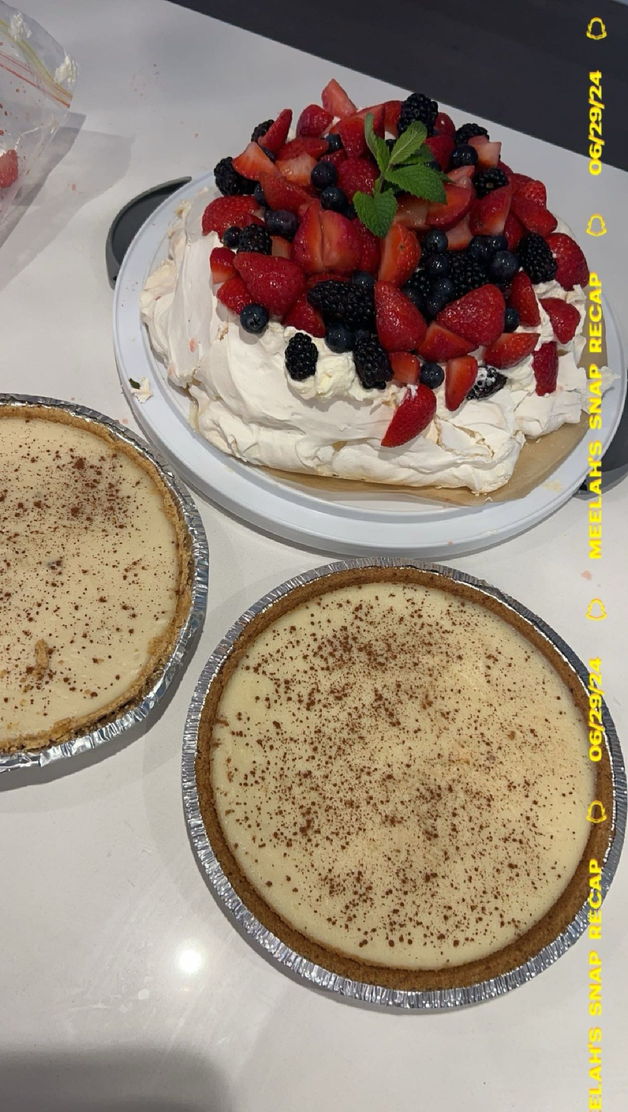 meelahrobbins snapchat image archive image