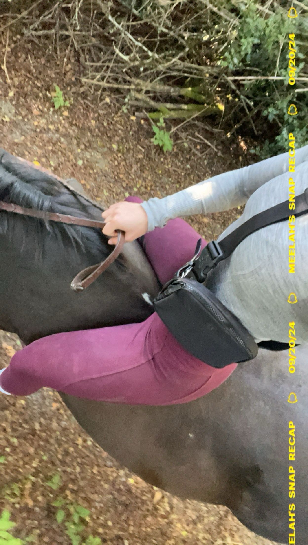 meelahrobbins snapchat image archive image