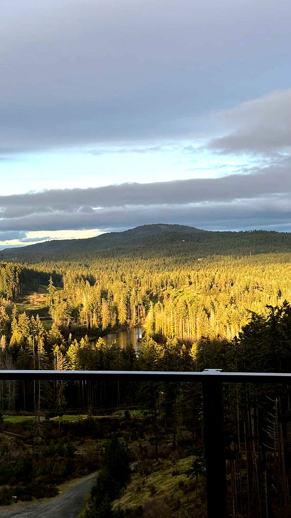 meelahrobbins image ~ Altpins