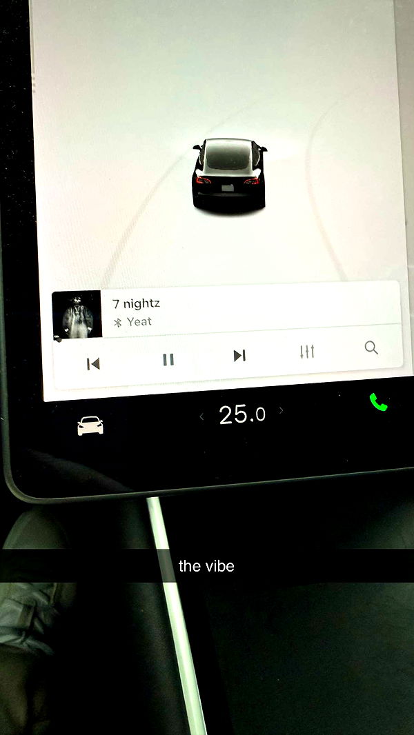 meelahrobbins image ~ Altpins