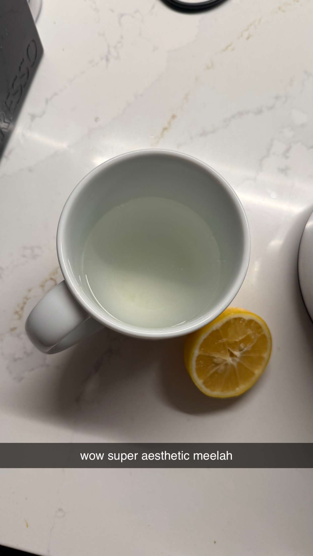 meelahrobbins snapchat image archive image