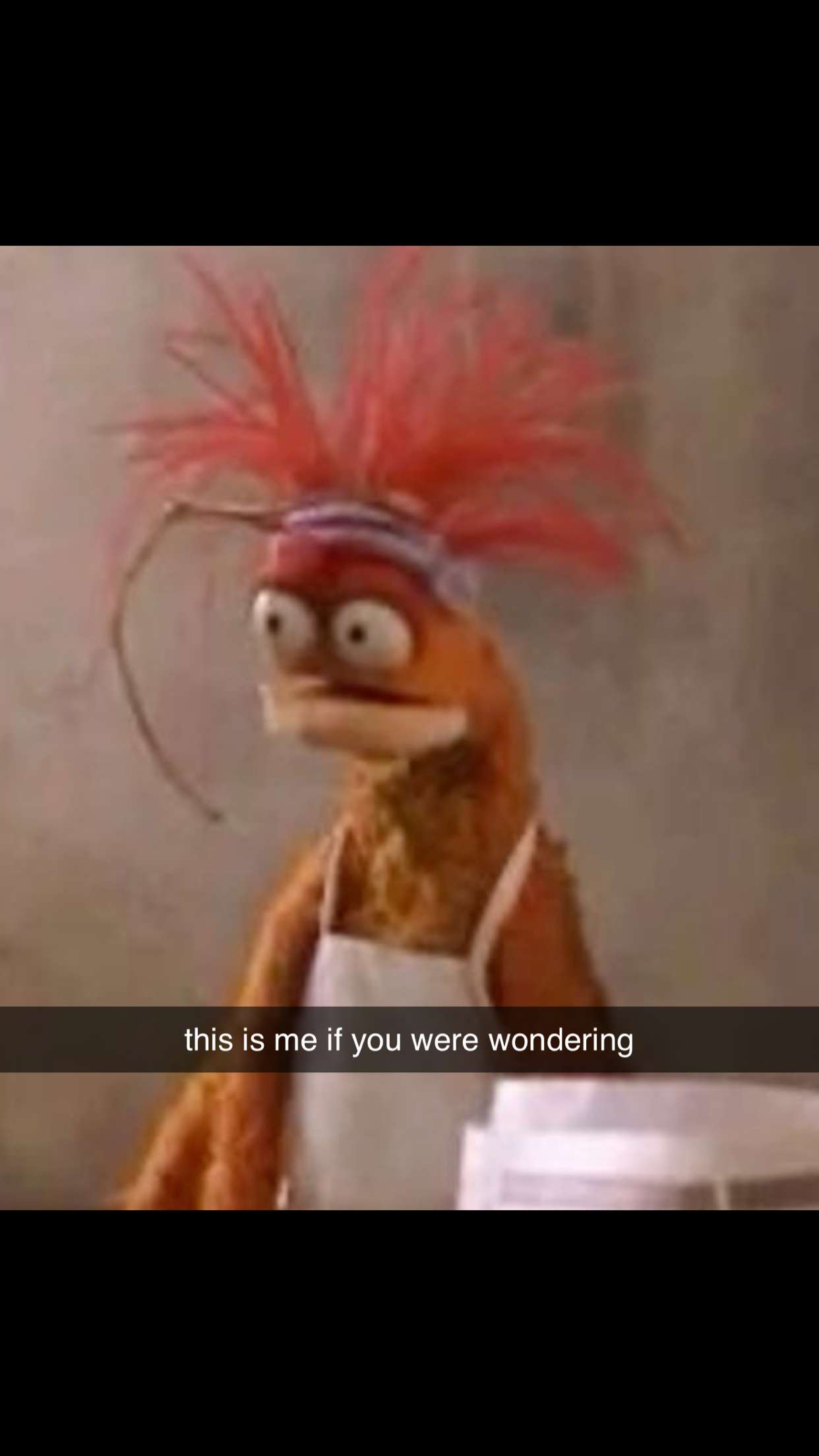 meelahrobbins snapchat image archive image