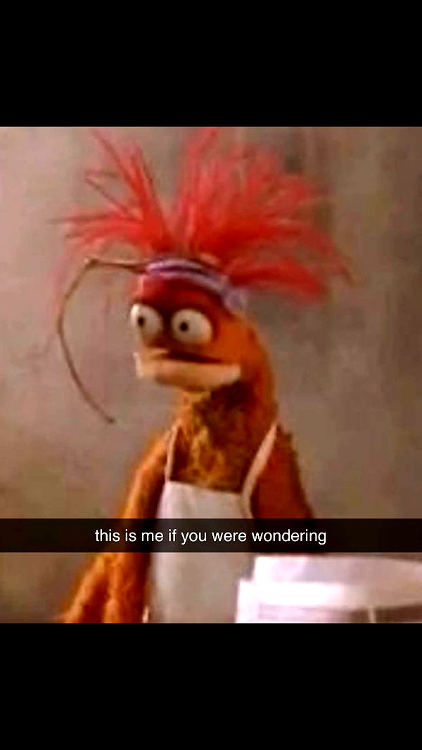 meelahrobbins image ~ Altpins