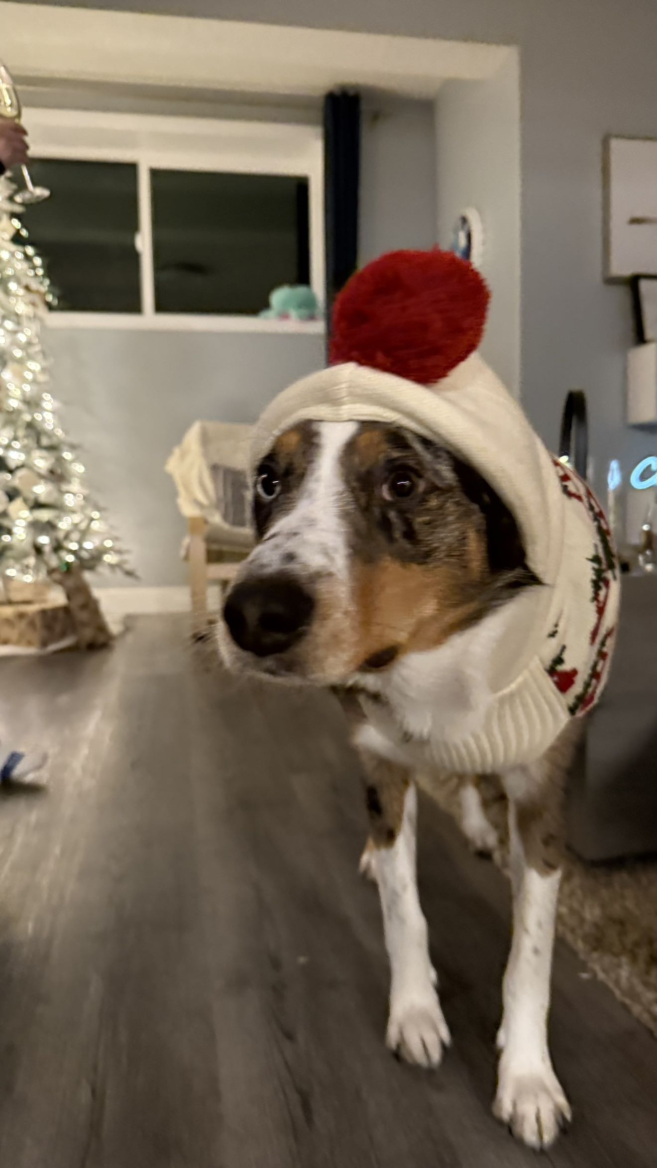 meelahrobbins snapchat image archive image