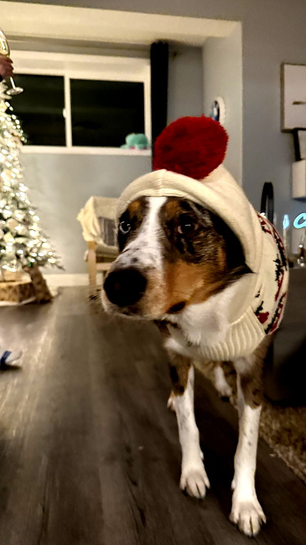 meelahrobbins image ~ Altpins