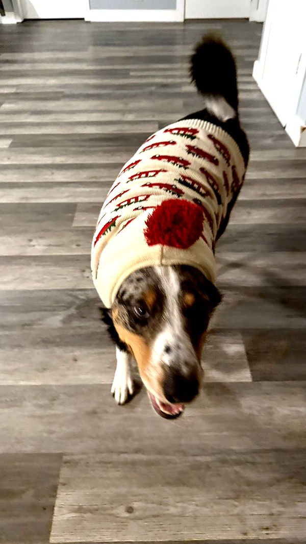 meelahrobbins image ~ Altpins