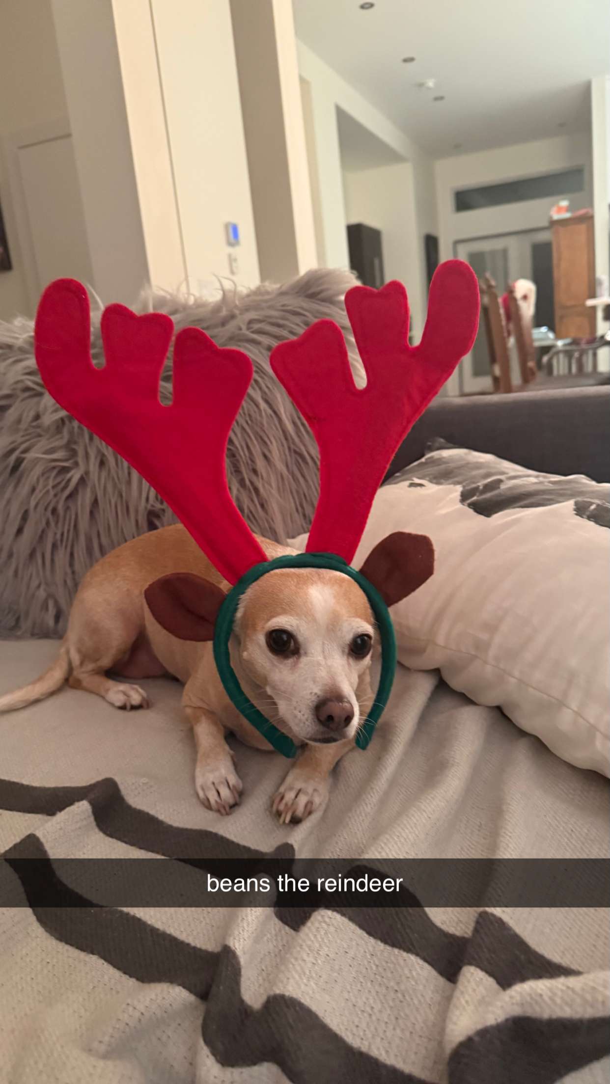 meelahrobbins snapchat image archive image