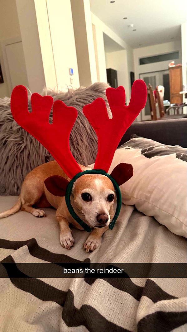 meelahrobbins image ~ Altpins