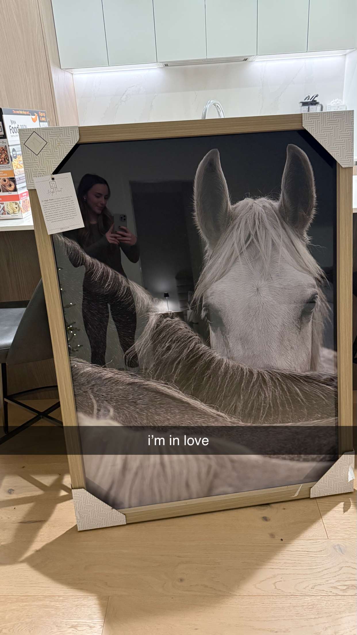 meelahrobbins snapchat image archive image