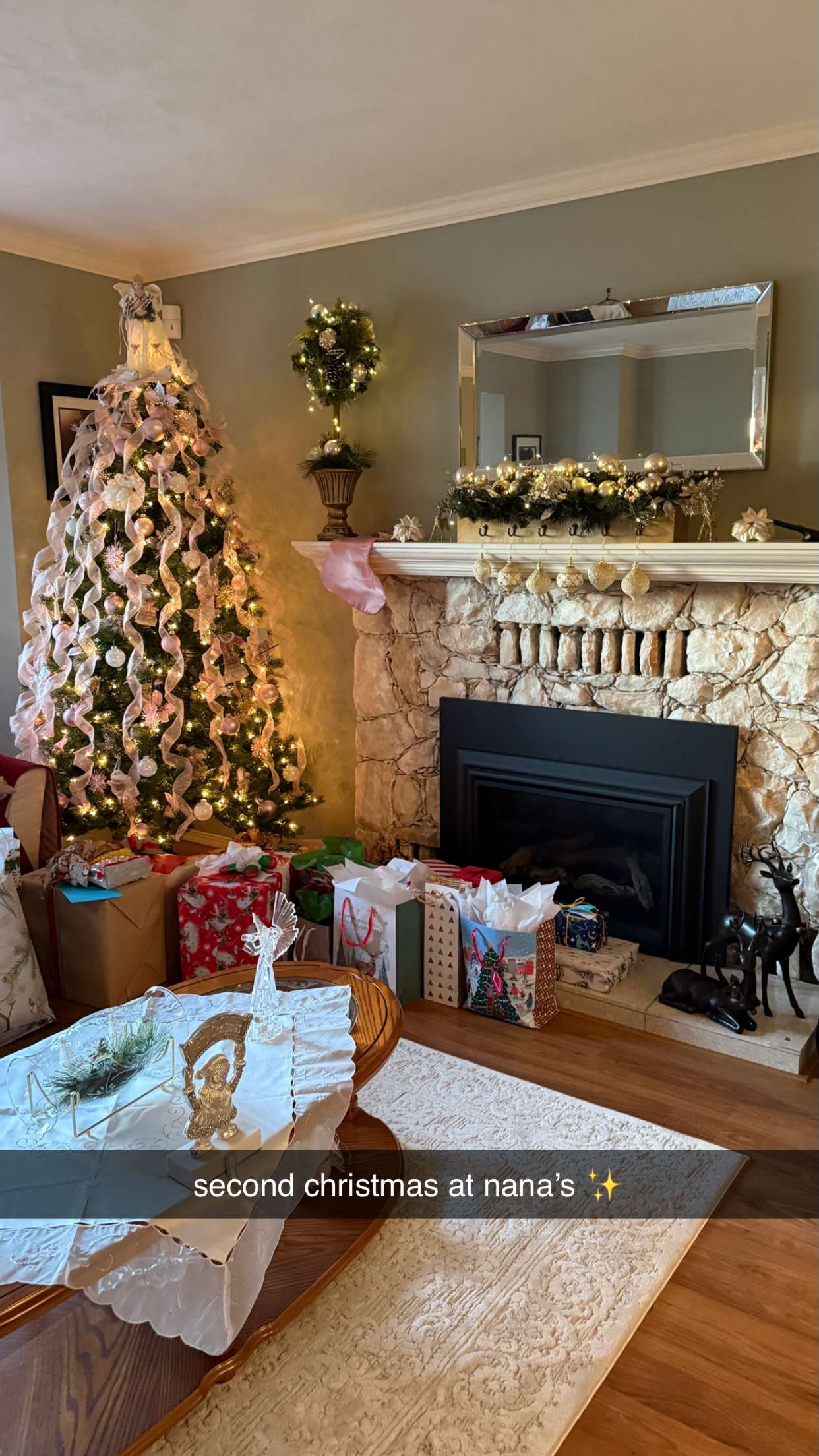 meelahrobbins snapchat image archive image