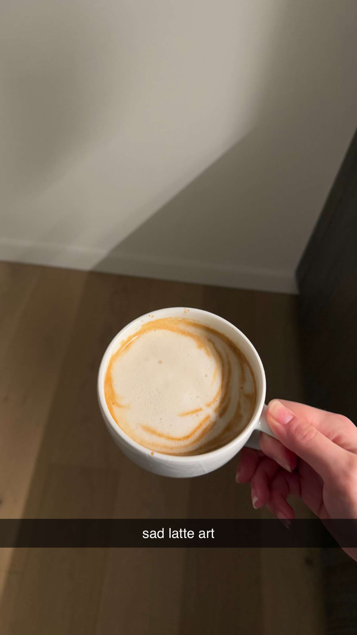 meelahrobbins snapchat image archive image