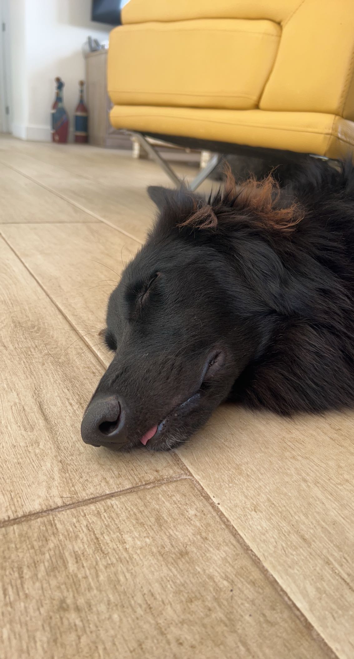 meelahrobbins snapchat image archive image