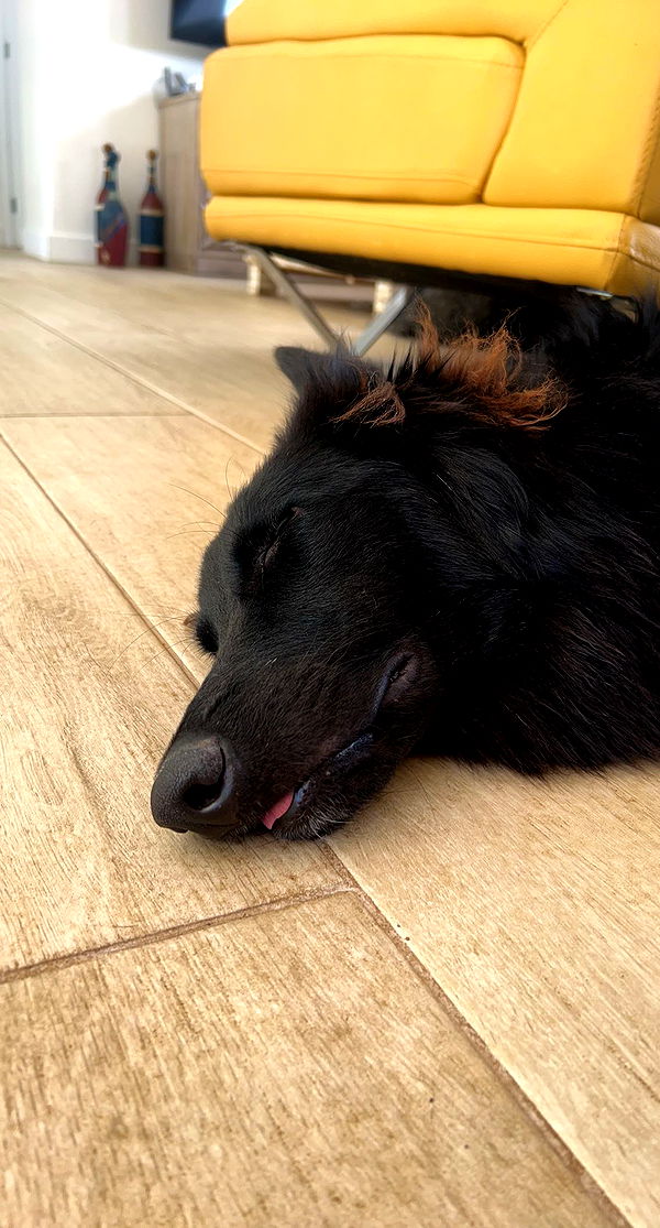 meelahrobbins image ~ Altpins