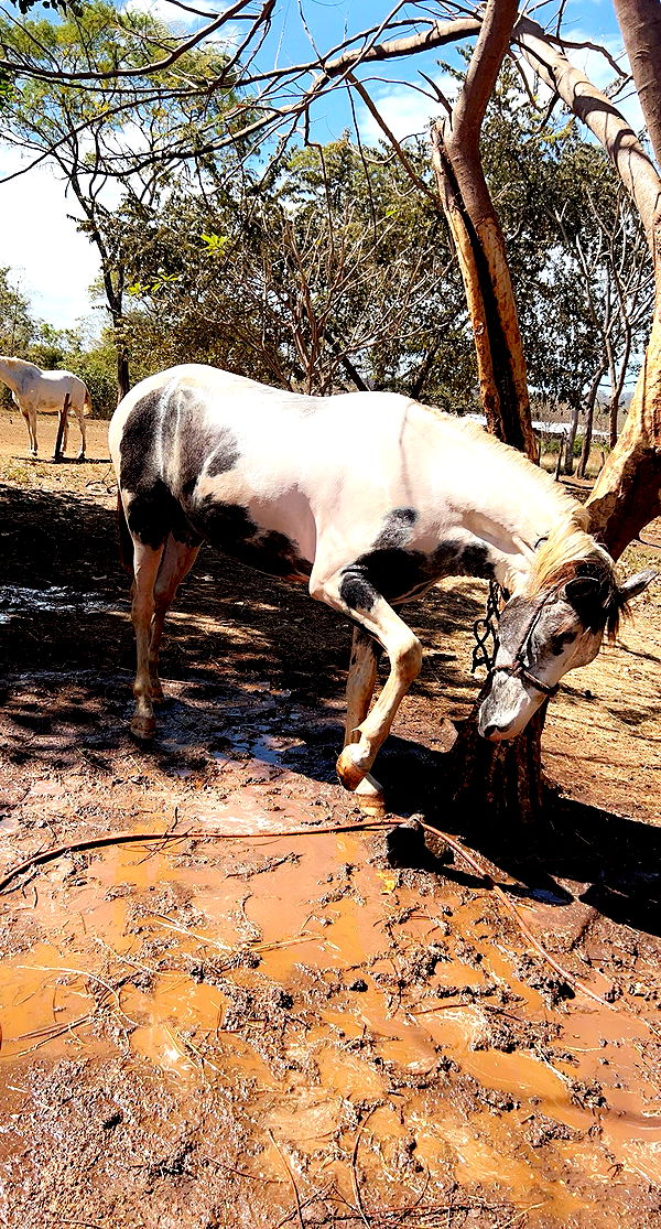 meelahrobbins image ~ Altpins