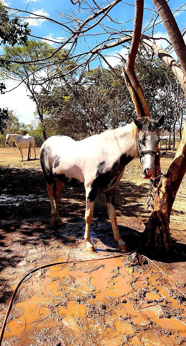 meelahrobbins image ~ Altpins