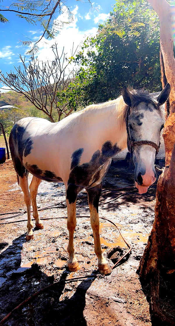 meelahrobbins image ~ Altpins