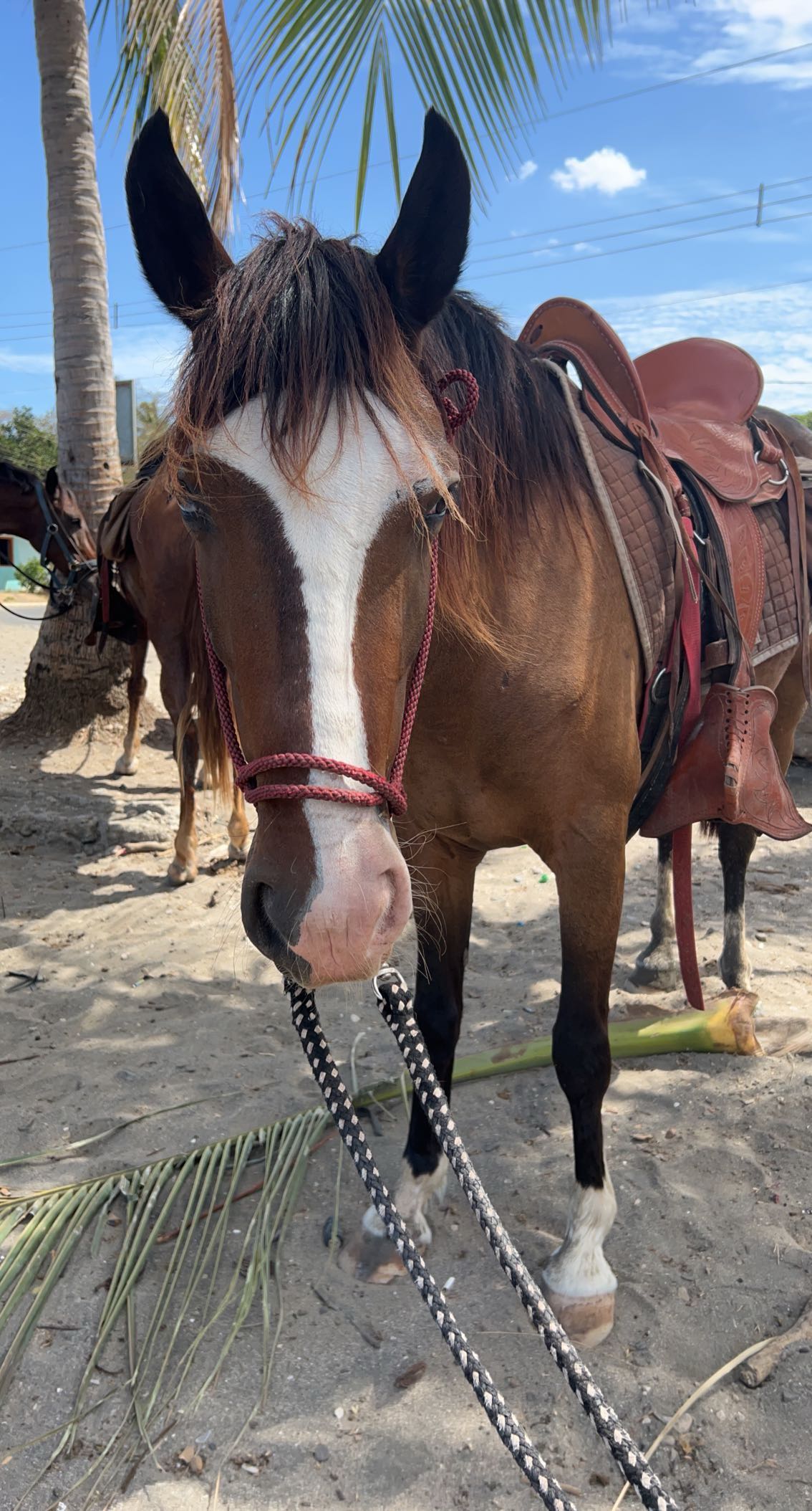 meelahrobbins snapchat image archive image