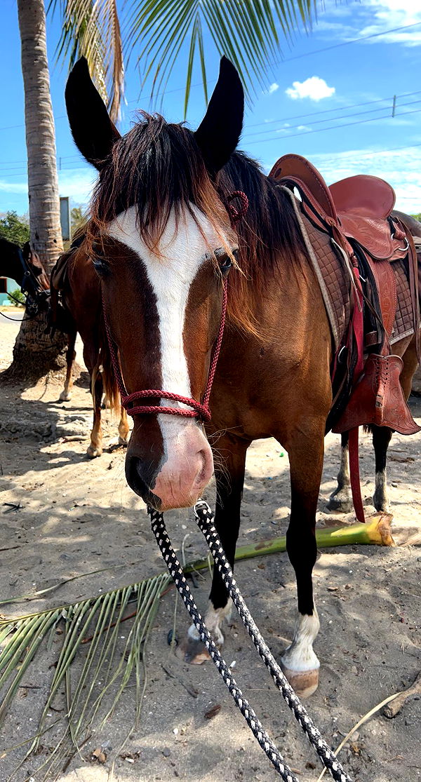 meelahrobbins image ~ Altpins