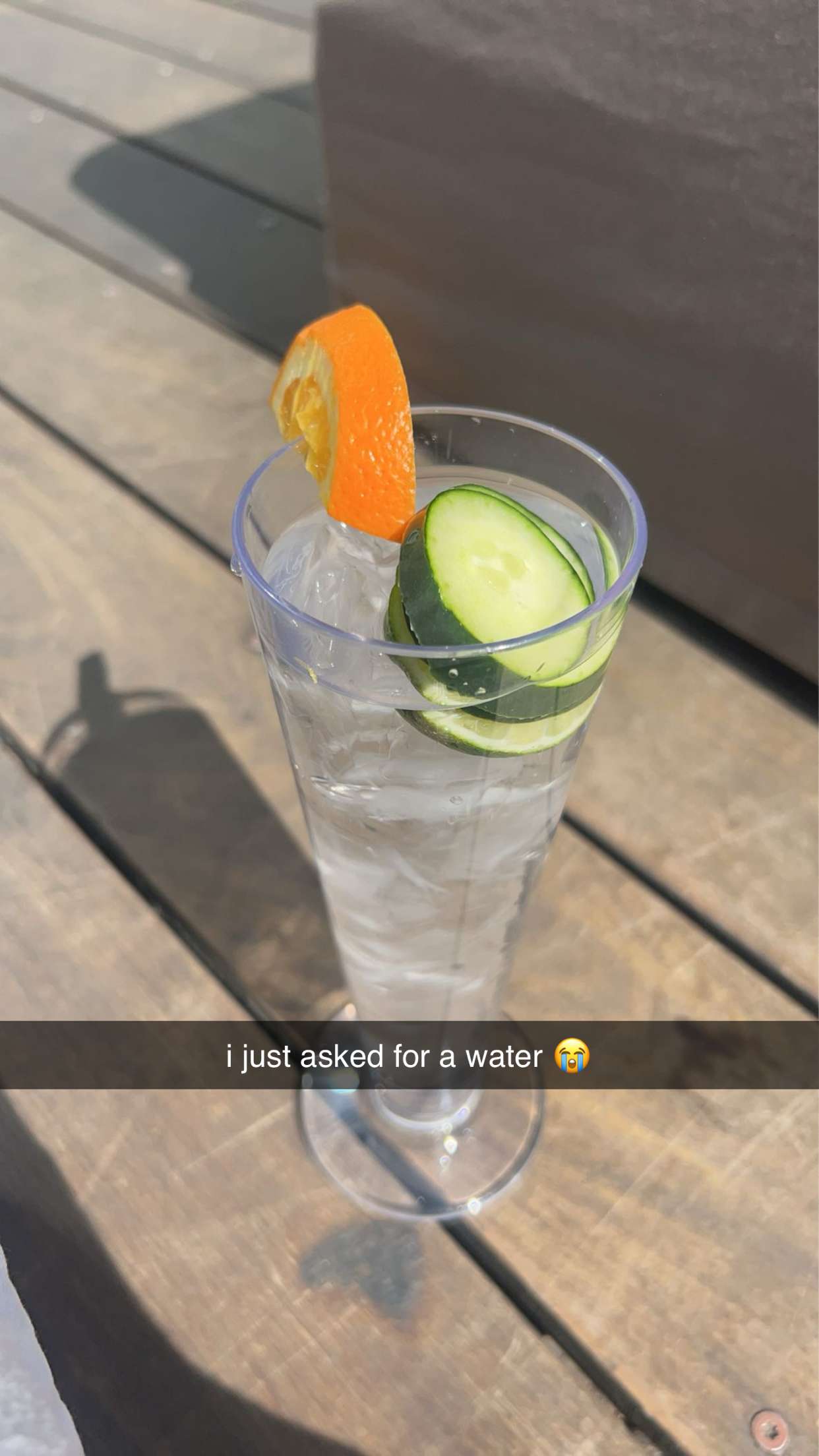 meelahrobbins snapchat image archive image