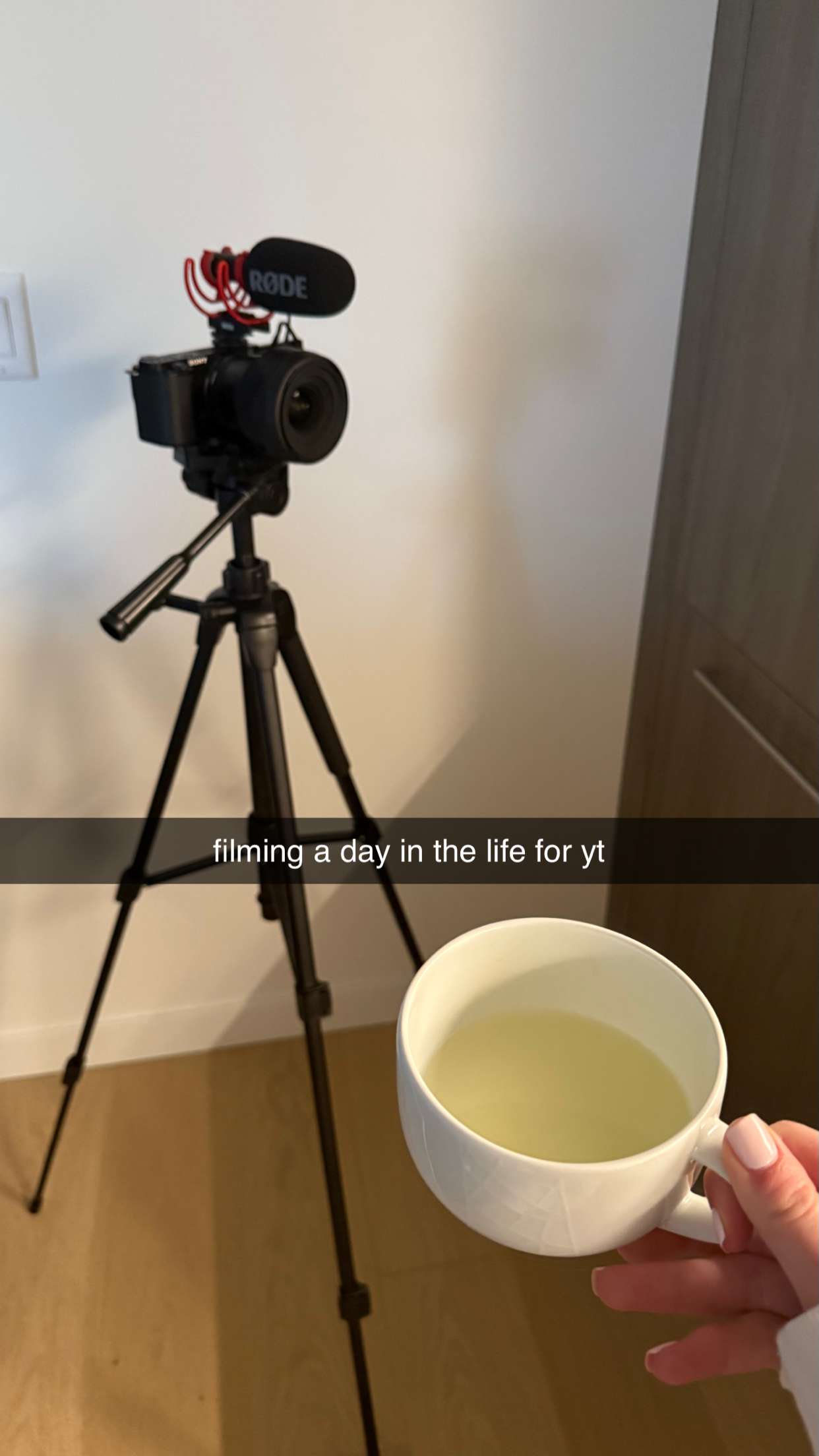 meelahrobbins snapchat image archive image