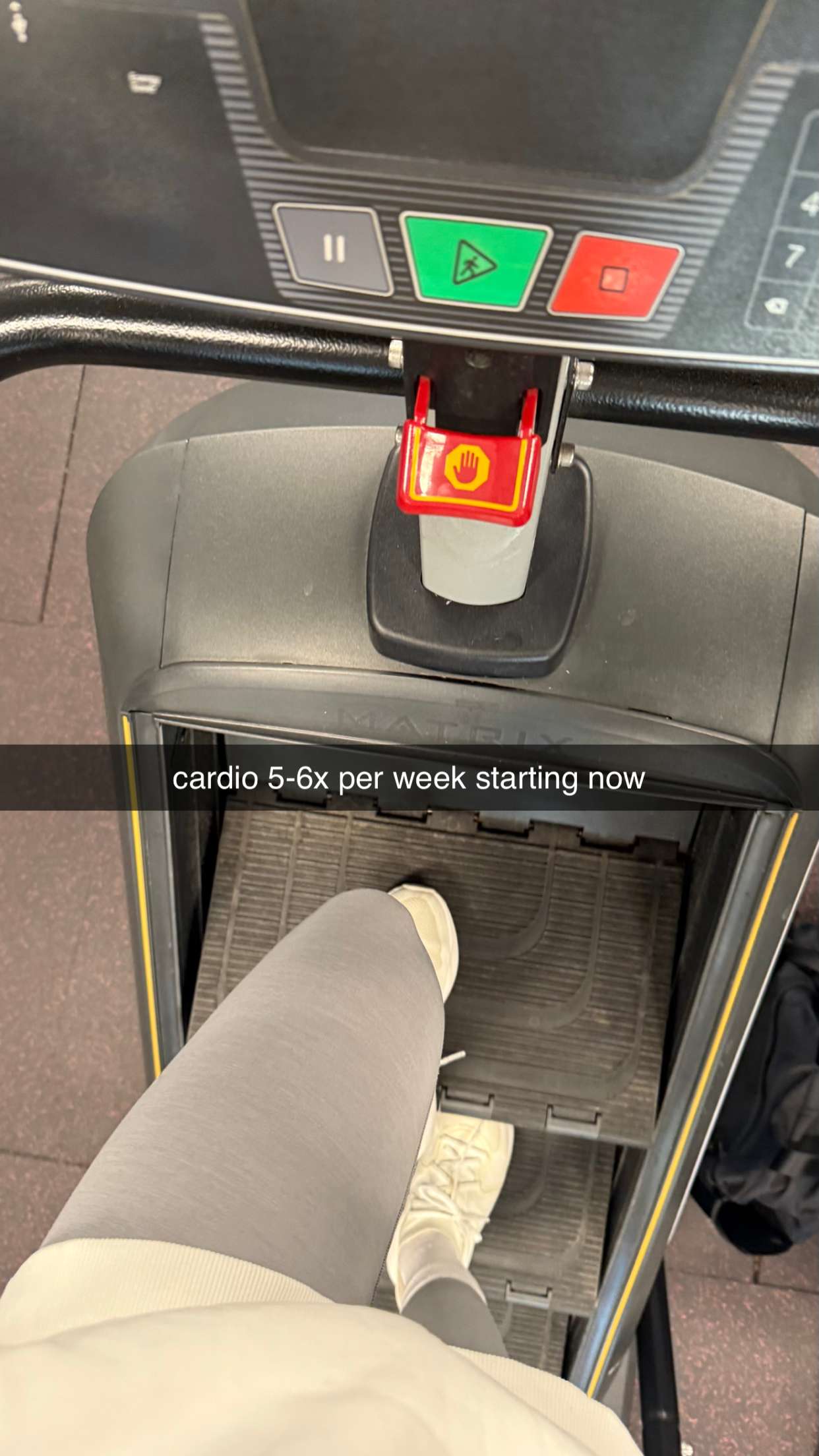 meelahrobbins snapchat image archive image