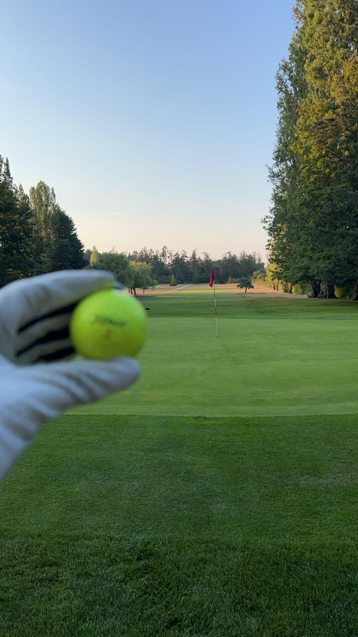 meelahrobbins snapchat image archive image