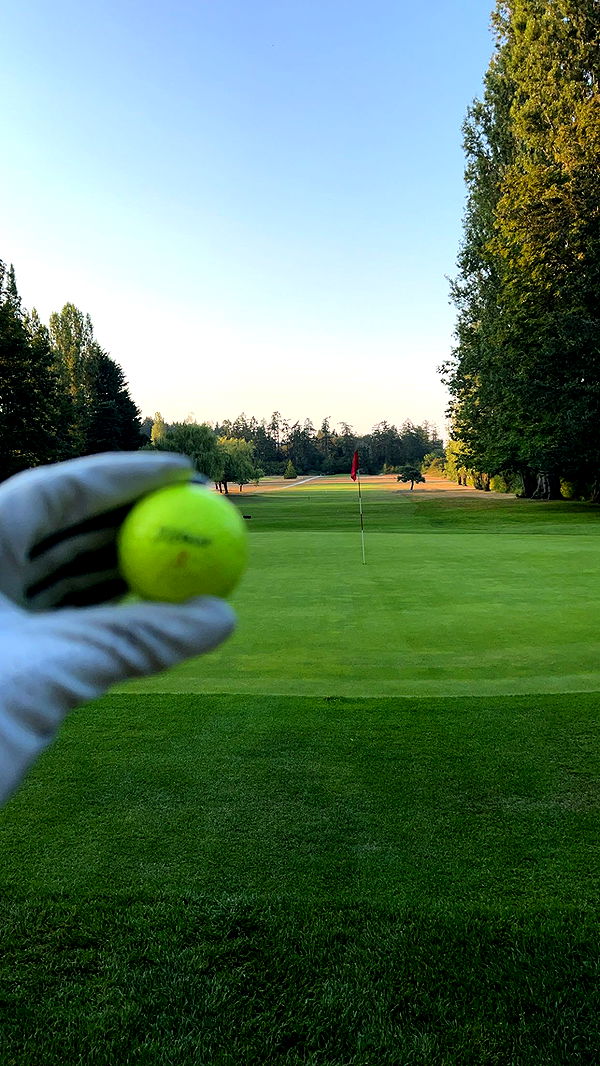 meelahrobbins image ~ Altpins