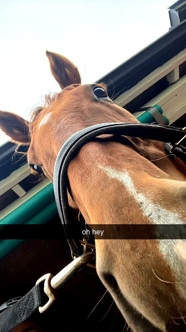 meelahrobbins image ~ Altpins