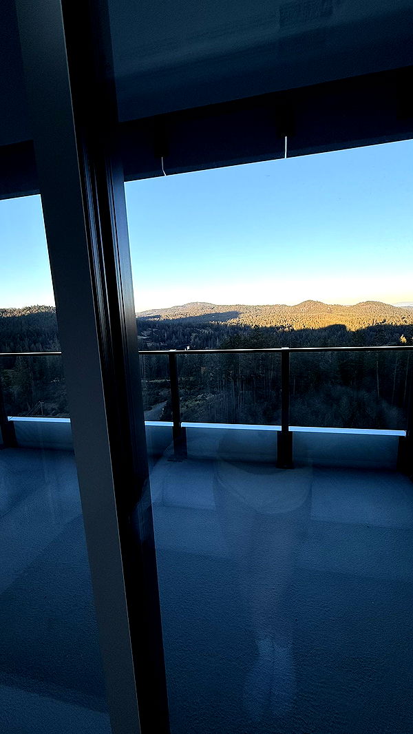 meelahrobbins image ~ Altpins