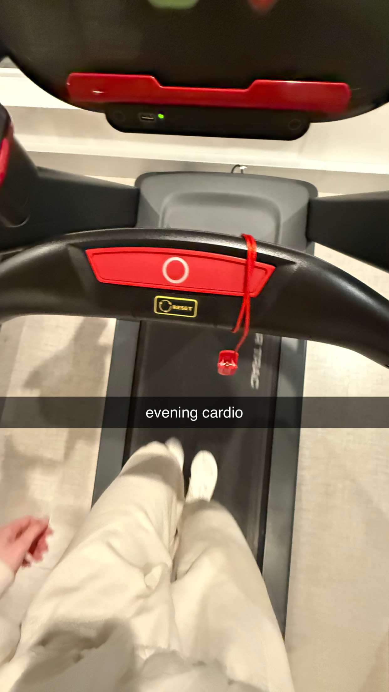 meelahrobbins snapchat image archive image