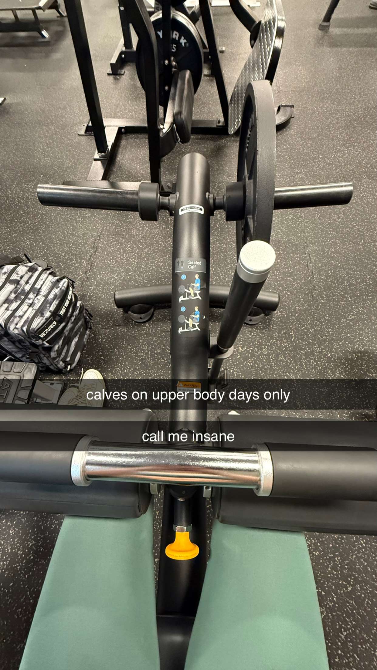 meelahrobbins snapchat image archive image