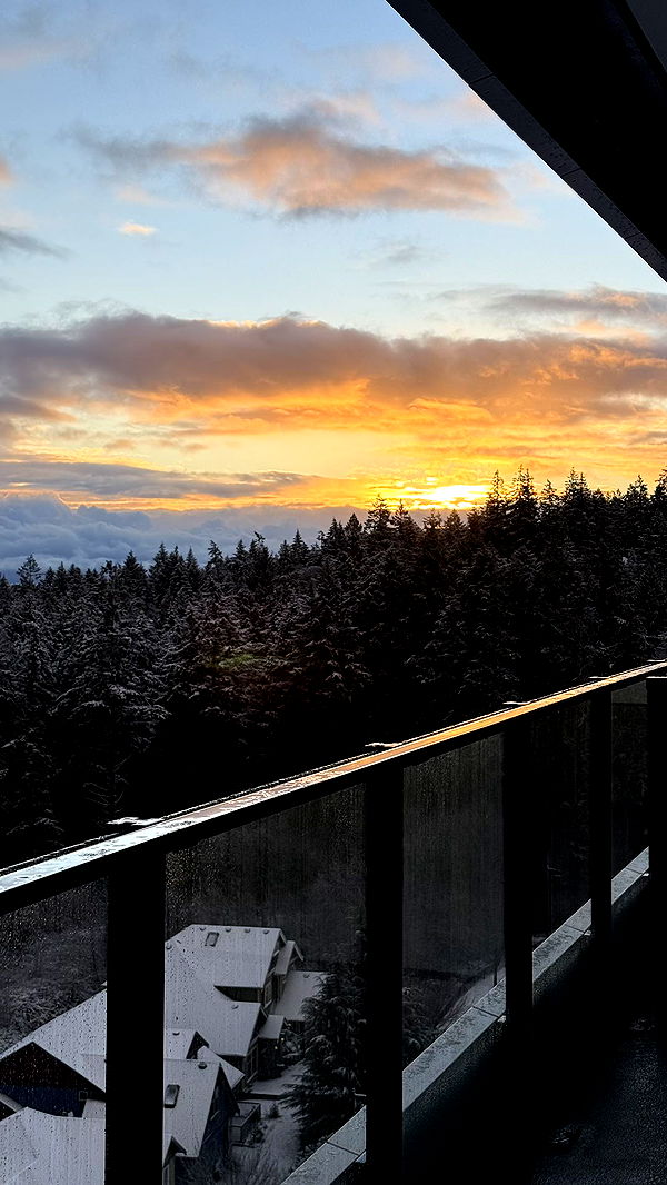 meelahrobbins image ~ Altpins