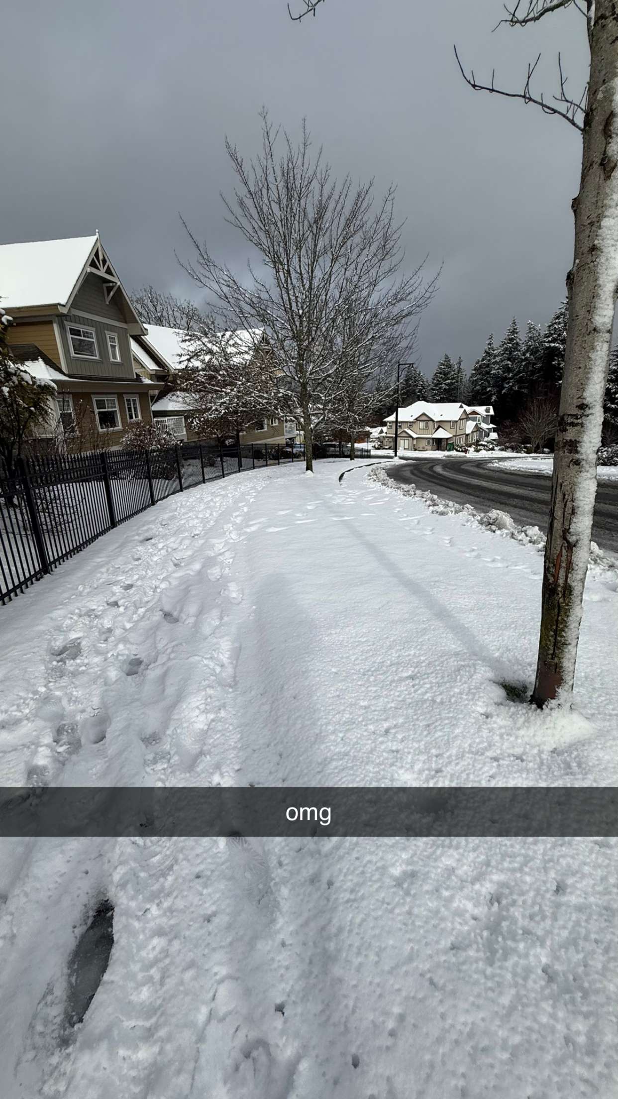 meelahrobbins snapchat image archive image