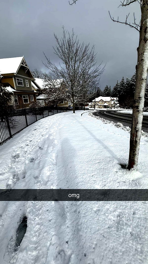 meelahrobbins image ~ Altpins