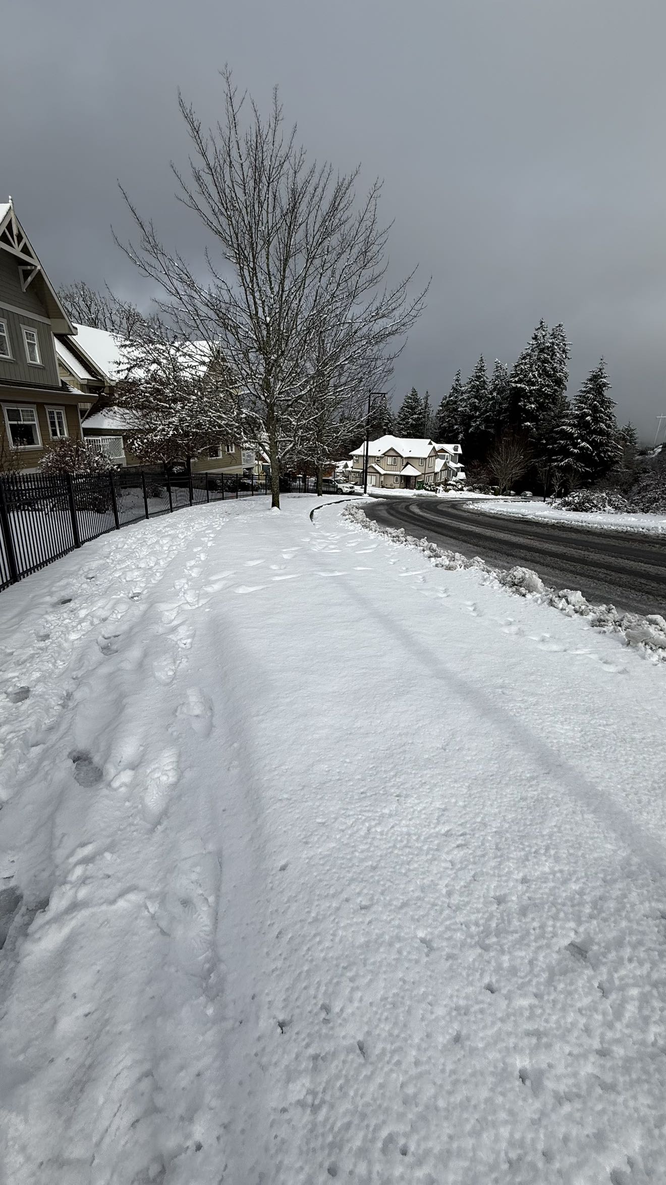 meelahrobbins snapchat image archive image