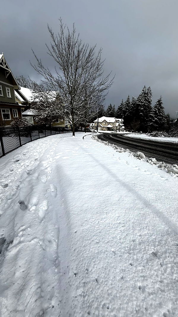 meelahrobbins image ~ Altpins