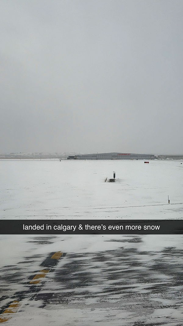 meelahrobbins image ~ Altpins