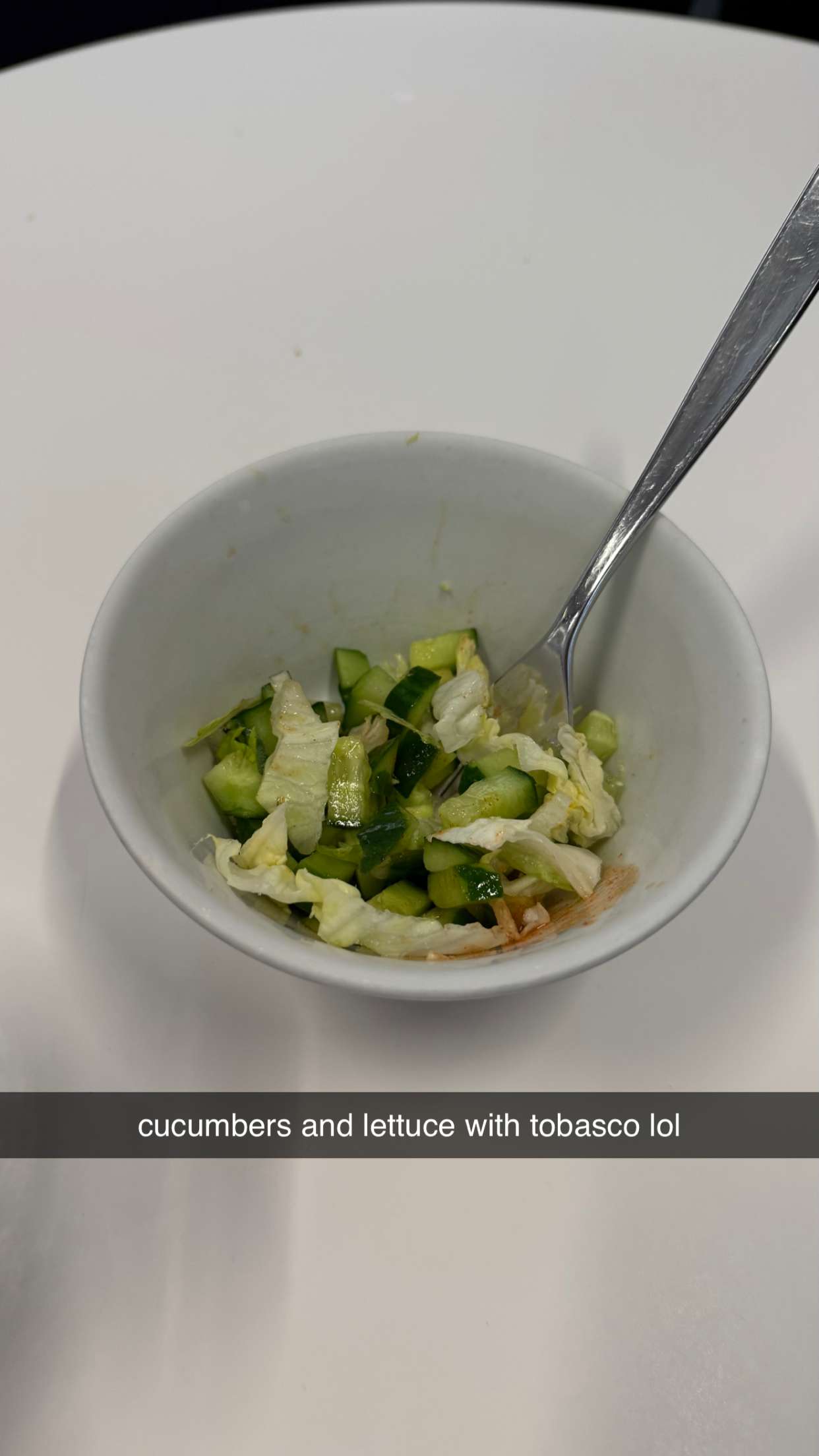 meelahrobbins snapchat image archive image