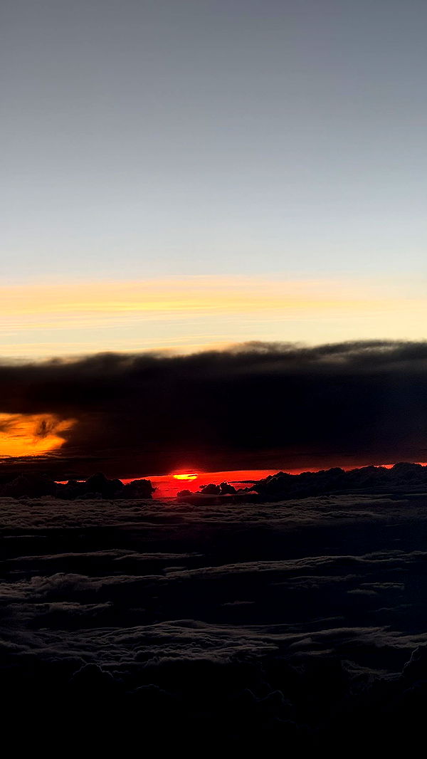 meelahrobbins image ~ Altpins