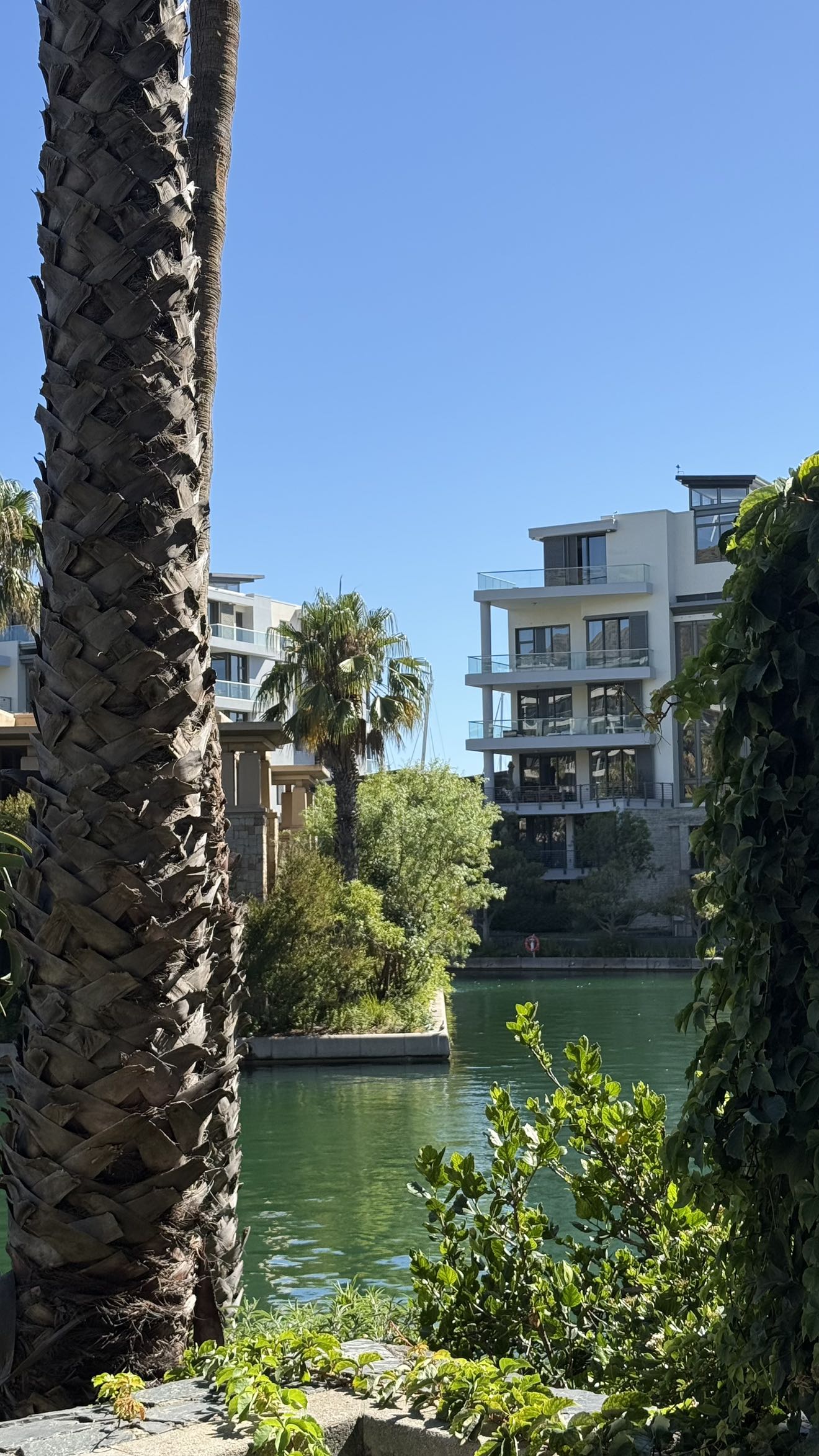 meelahrobbins snapchat image archive image