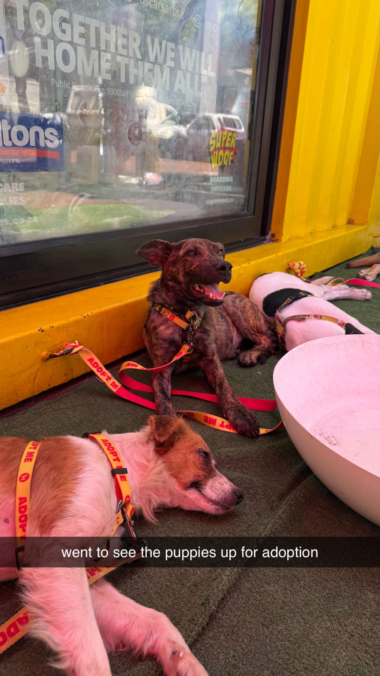 meelahrobbins snapchat image archive image