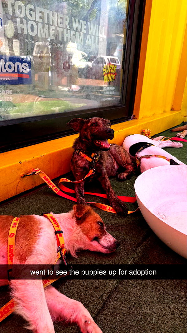 meelahrobbins image ~ Altpins