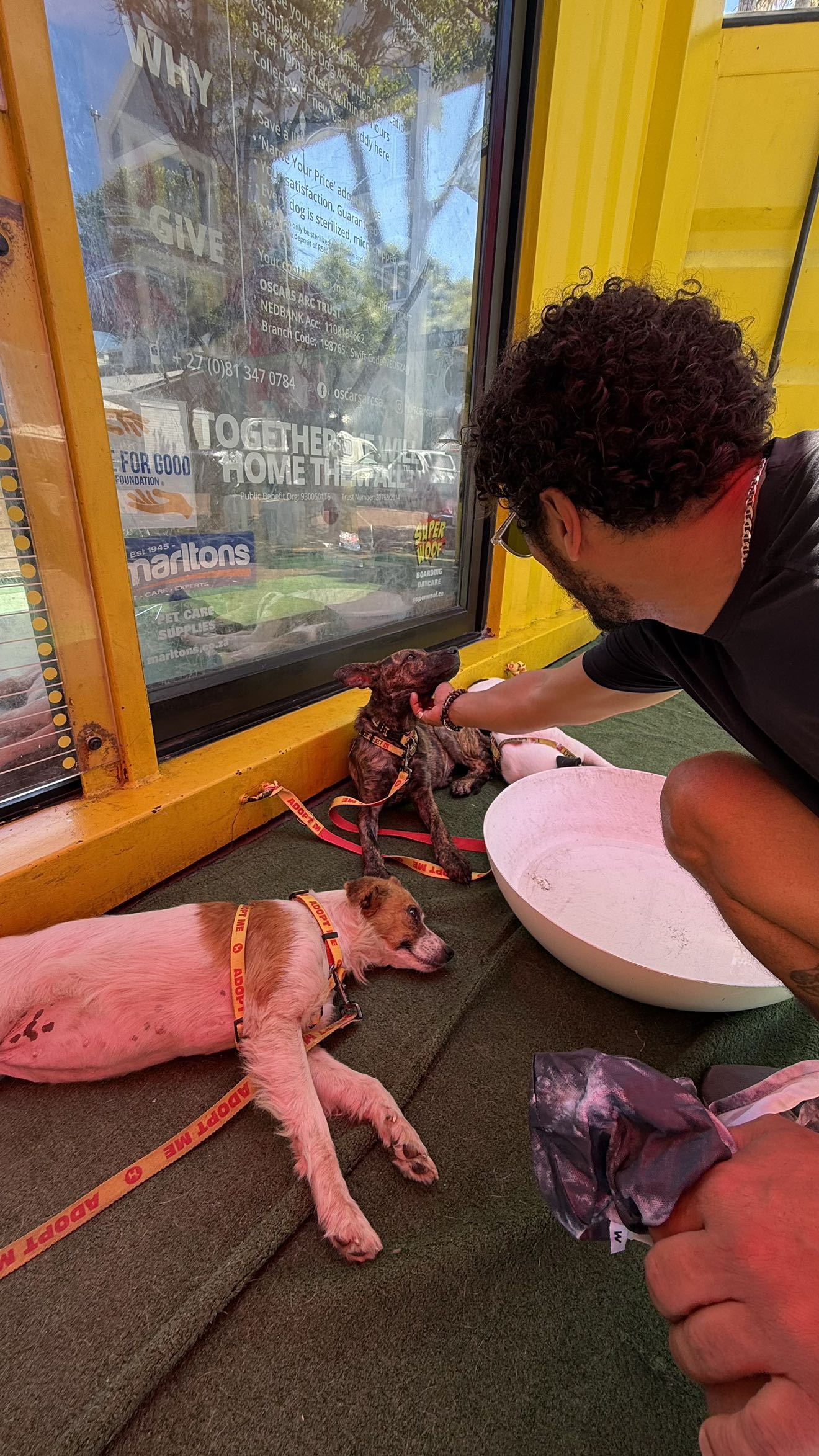 meelahrobbins snapchat image archive image