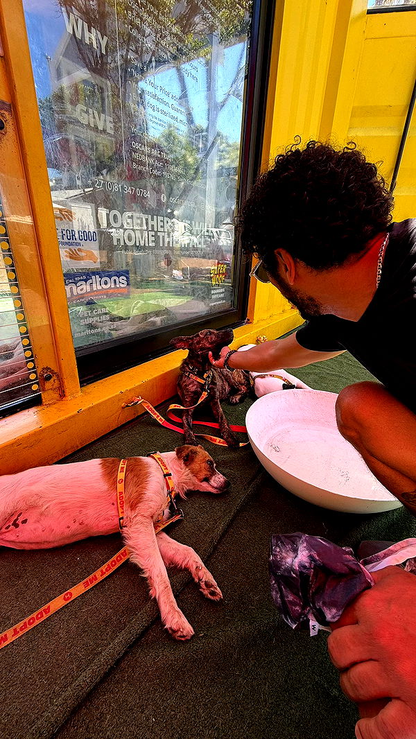 meelahrobbins image ~ Altpins