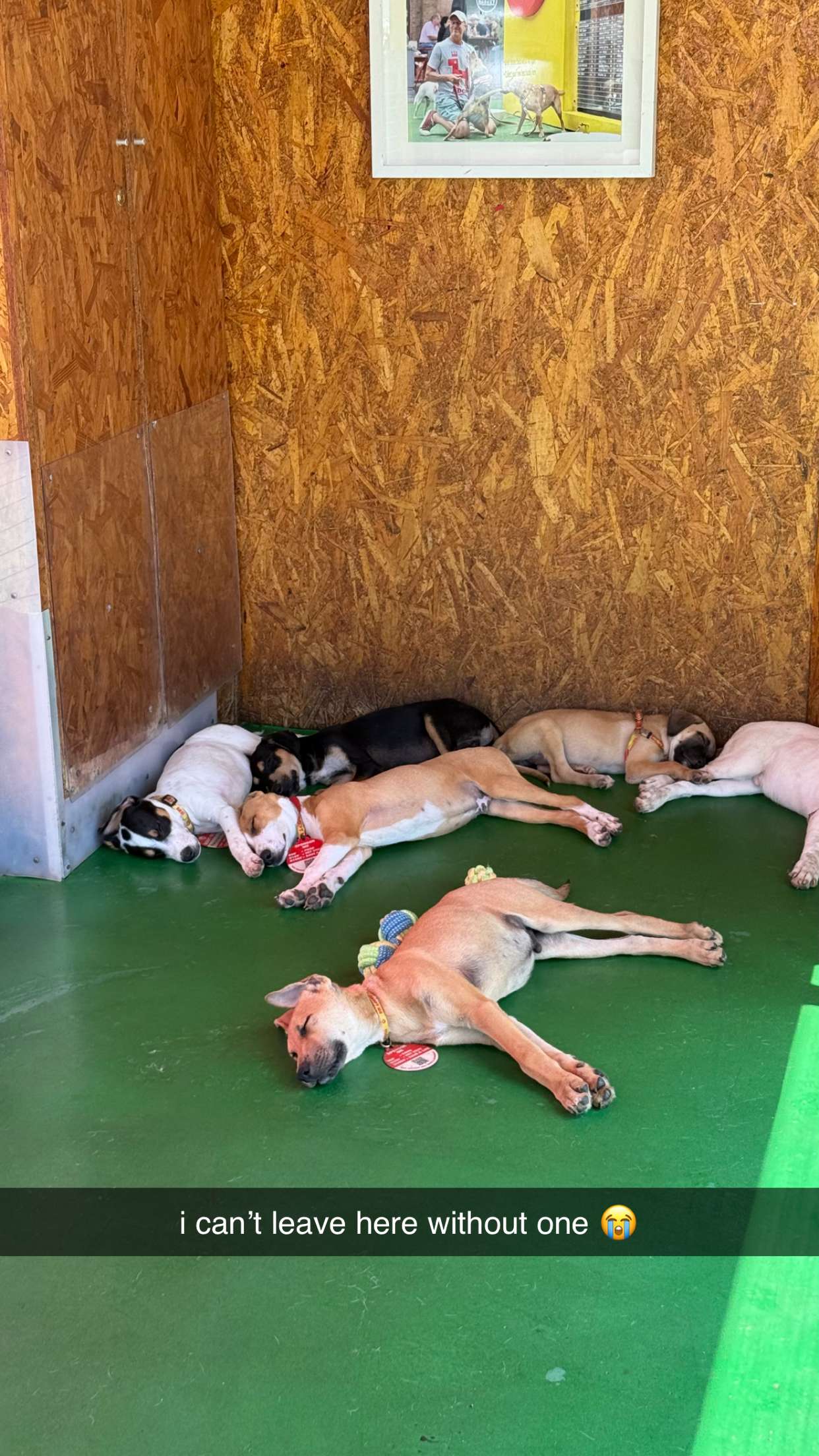 meelahrobbins snapchat image archive image