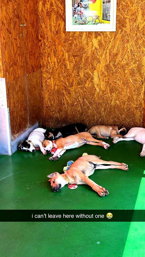 meelahrobbins image ~ Altpins