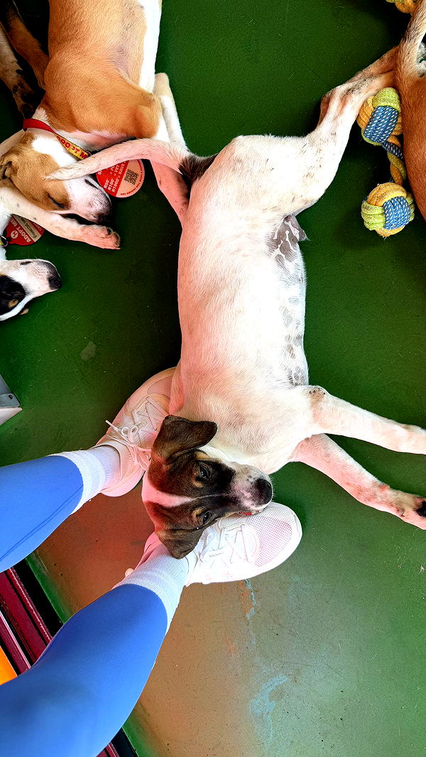 meelahrobbins image ~ Altpins